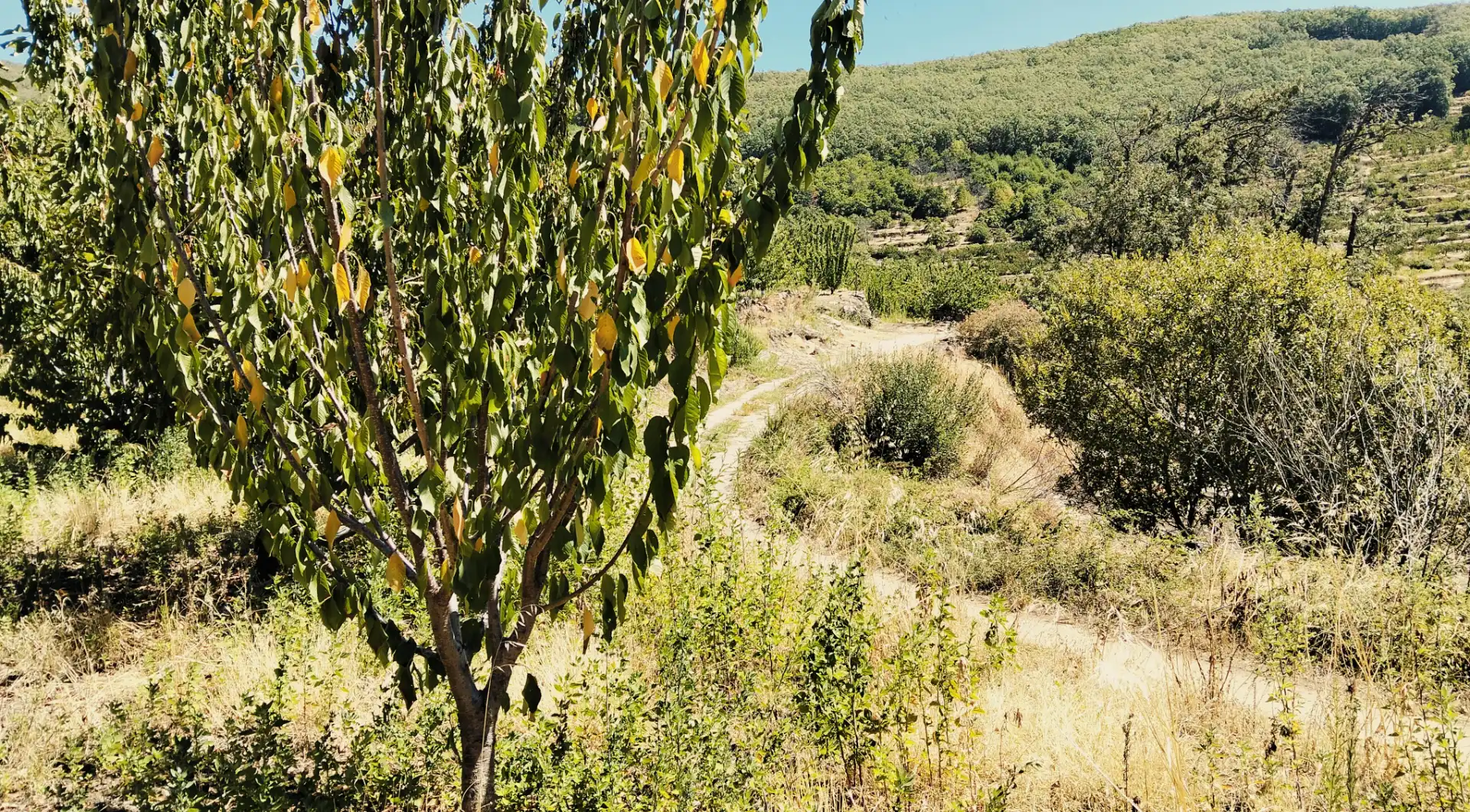 Terreni e lotti in vendita a N/A, imagen 10