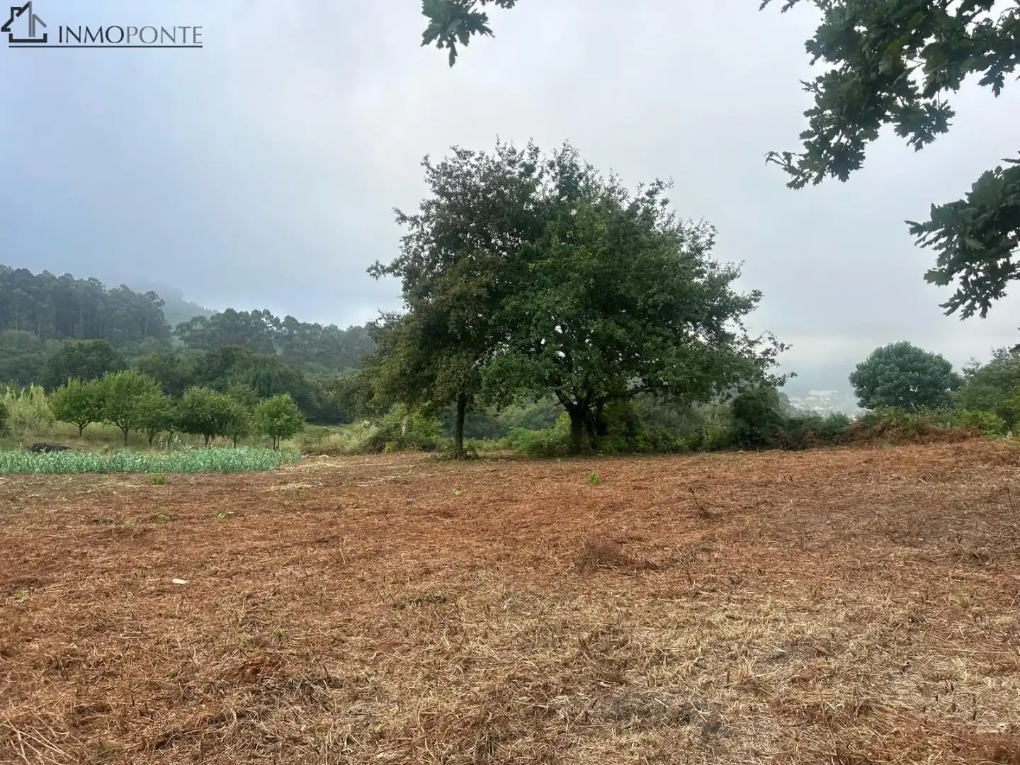 Terrenys i solars en venda a Parroquias Rurales, imagen 2