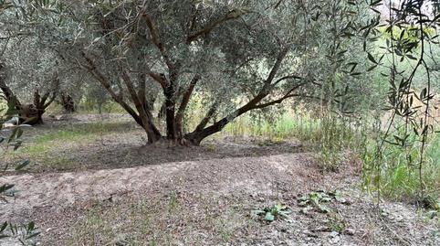 Foto 3 de Terreno en venta en Avenida de la Paz, Rágol, Almería