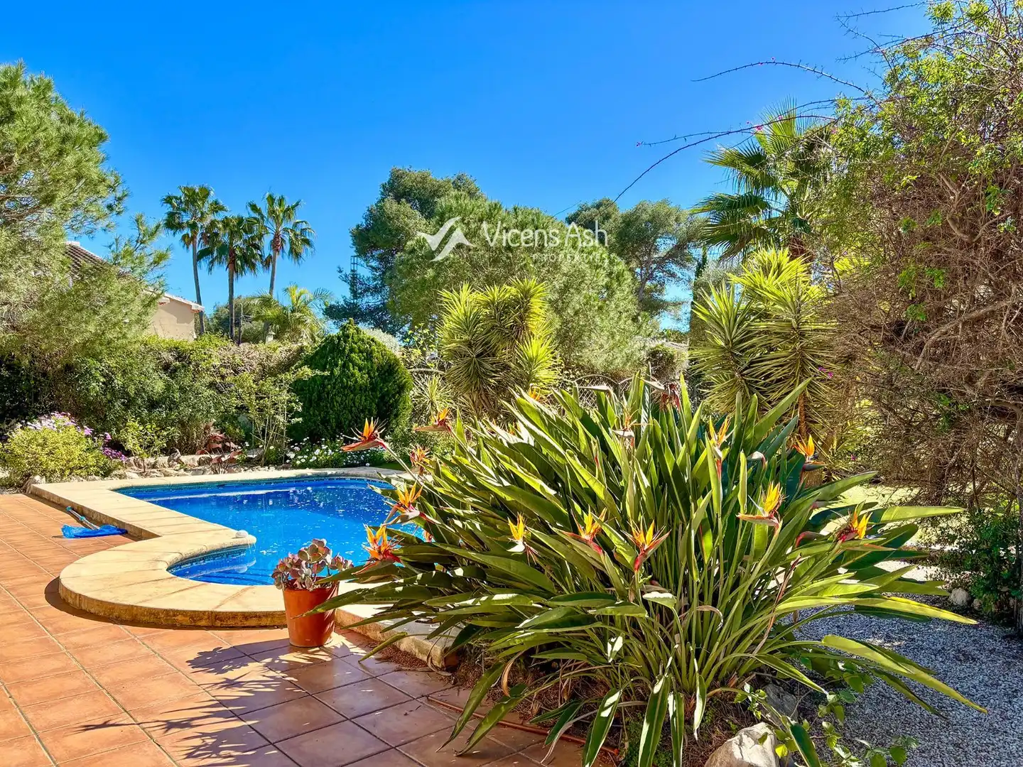 Jardín de Casa o chalet en venta en La Granadella  - Costa Nova