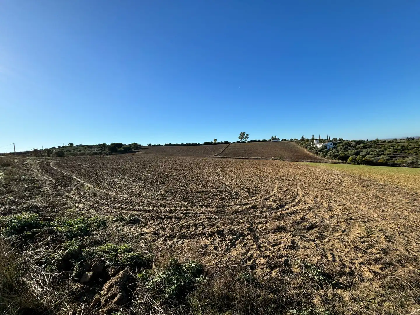 Terreny en venda en Arcos de la Frontera