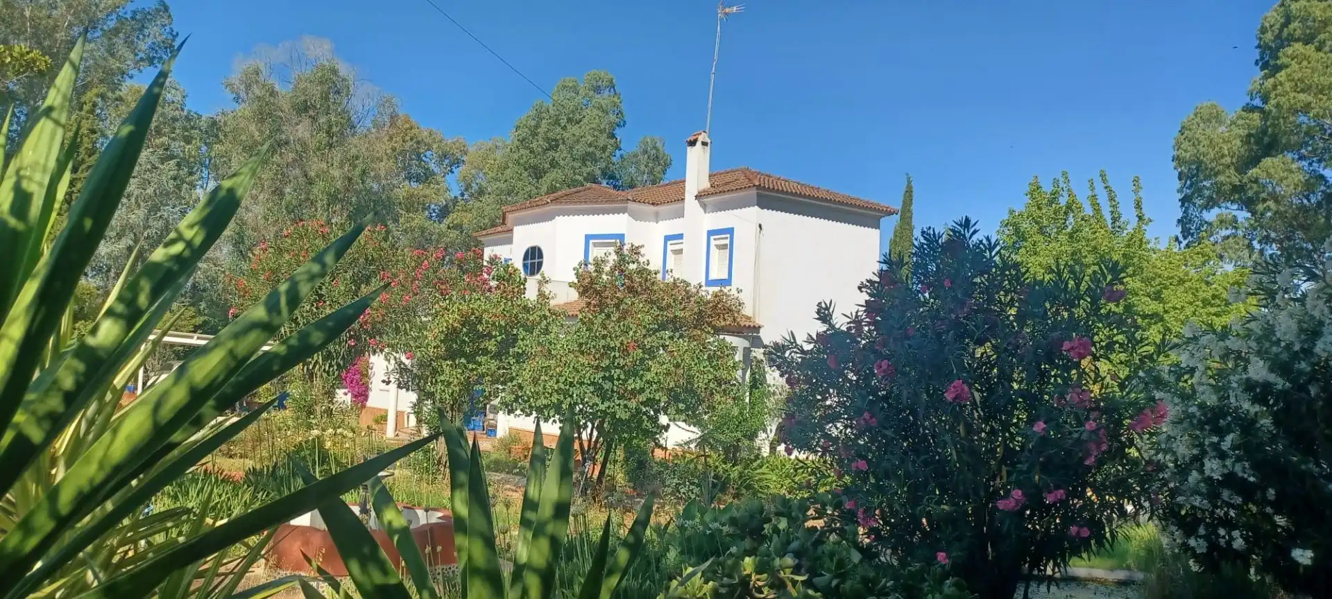 Vista exterior de Casa o chalet en venta en Castilblanco de los Arroyos con Aire acondicionado, Jardín privado y Terraza