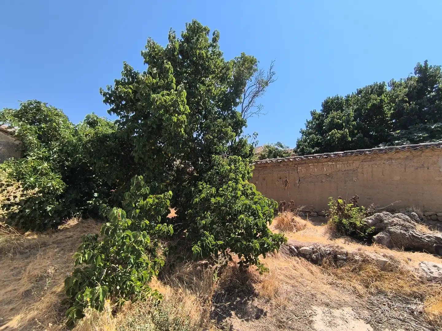 Casa o chalet en venta en Pedraza de Campos con Calefacción, Jardín privado y Terraza