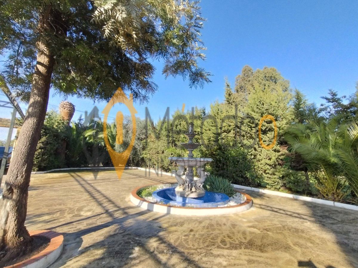 Vista exterior de Casa o xalet en venda en Carmona amb Aire condicionat, Jardí privat i Piscina