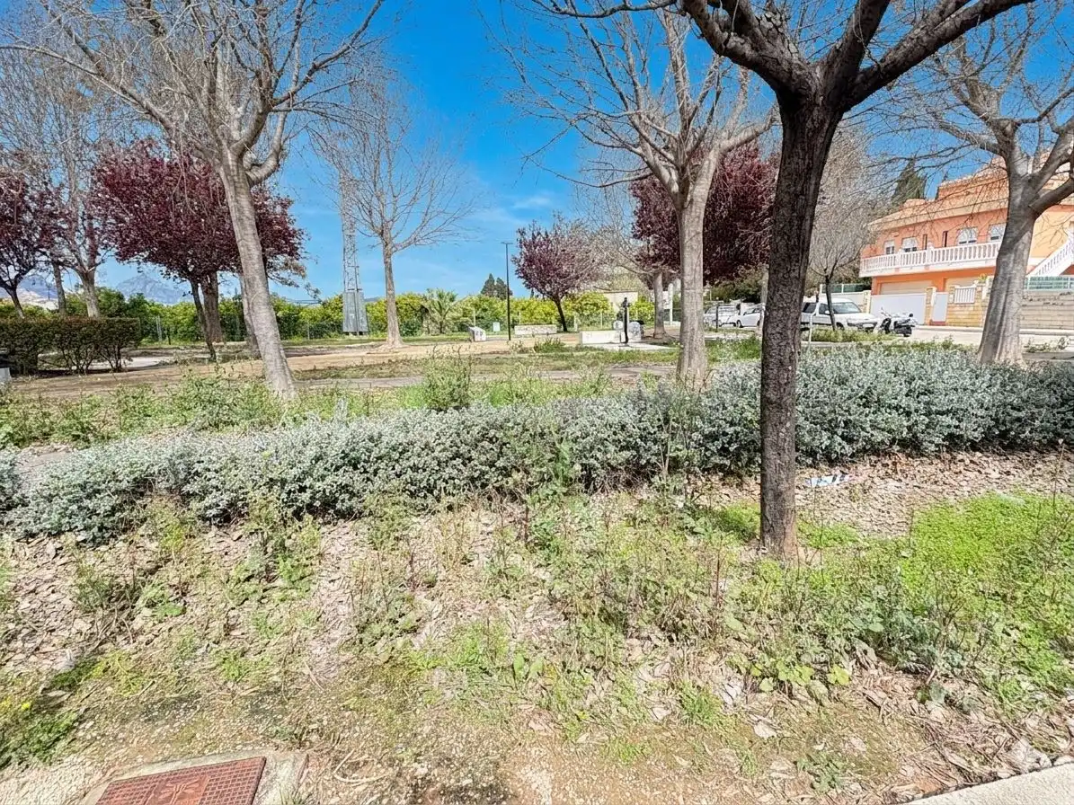 Terreno residencial en venta en Palmera, imagen 11