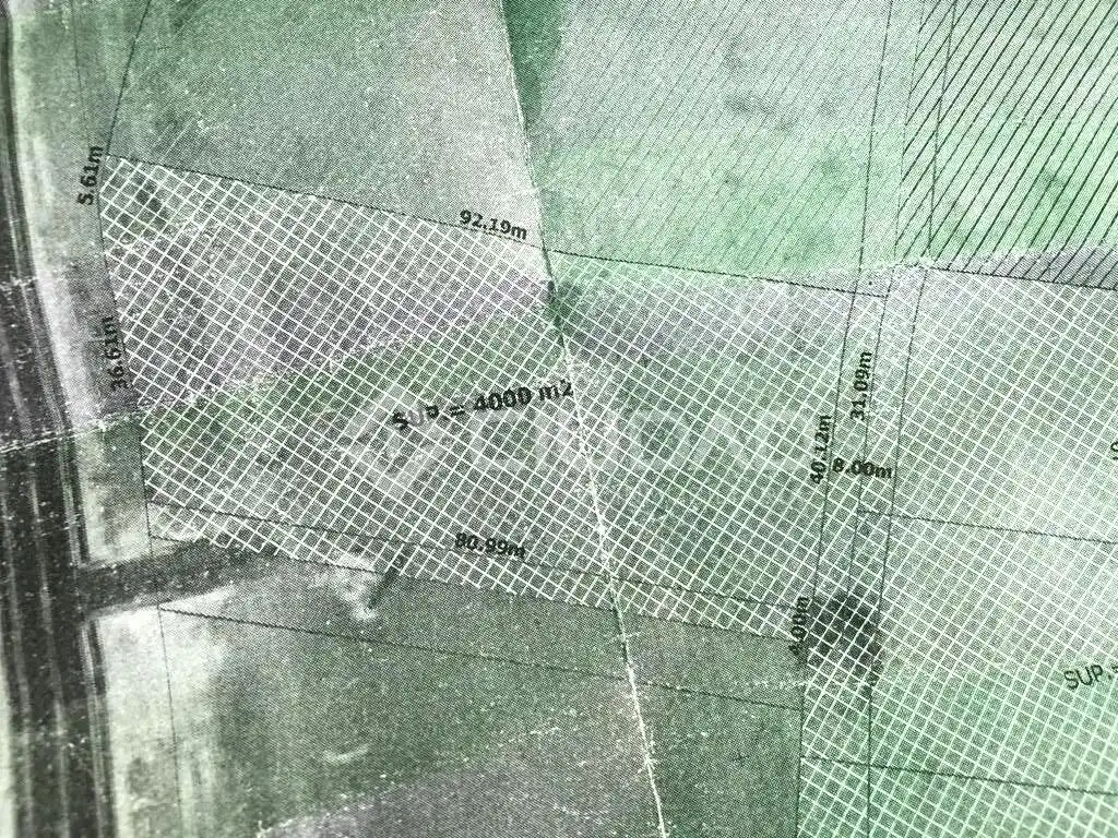 Terreni e lotti in vendita a Las Palmeras - Dehesilla, imagen 10