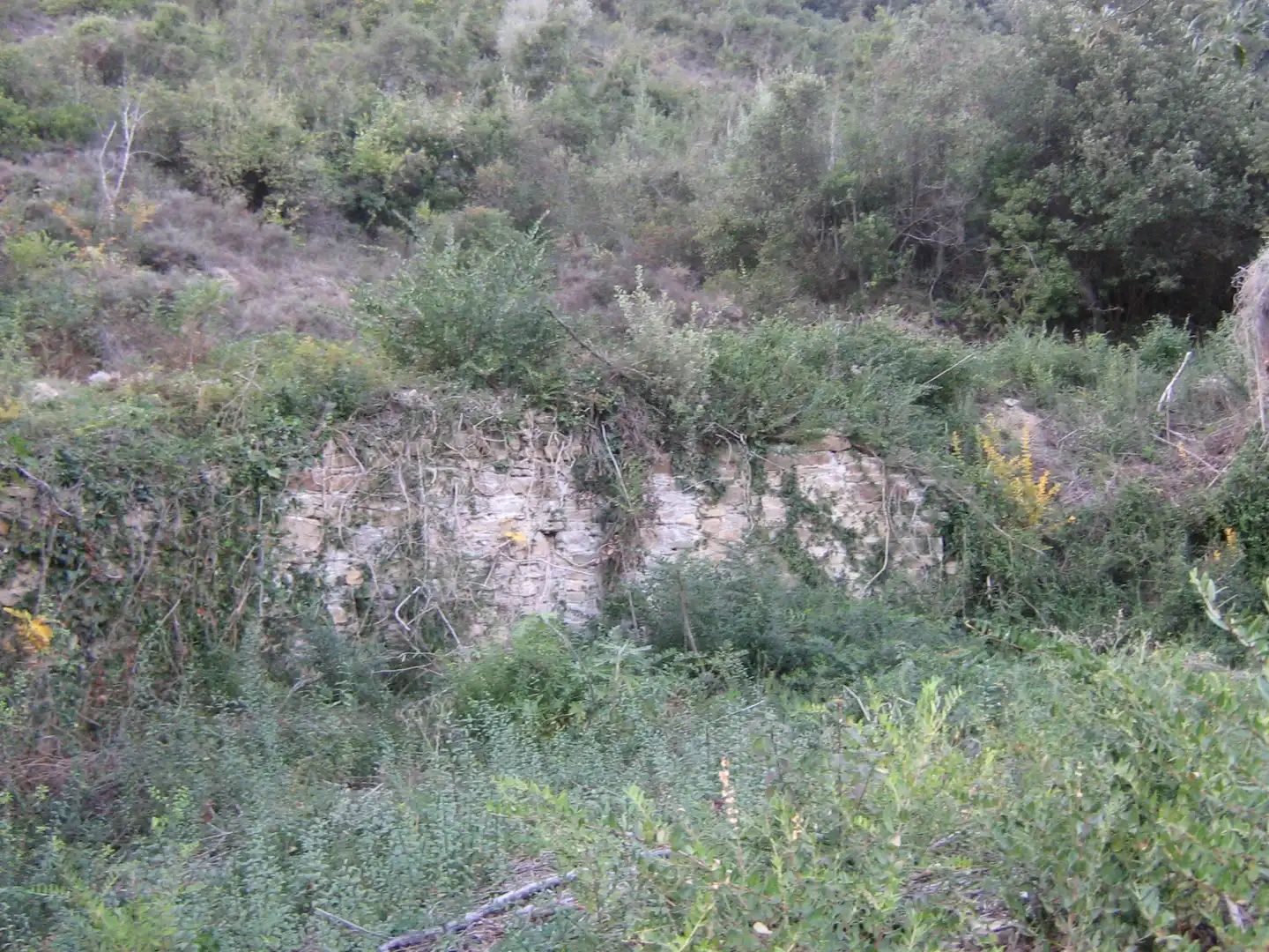 Rural land for sale in Montagut i Oix, imagen 14