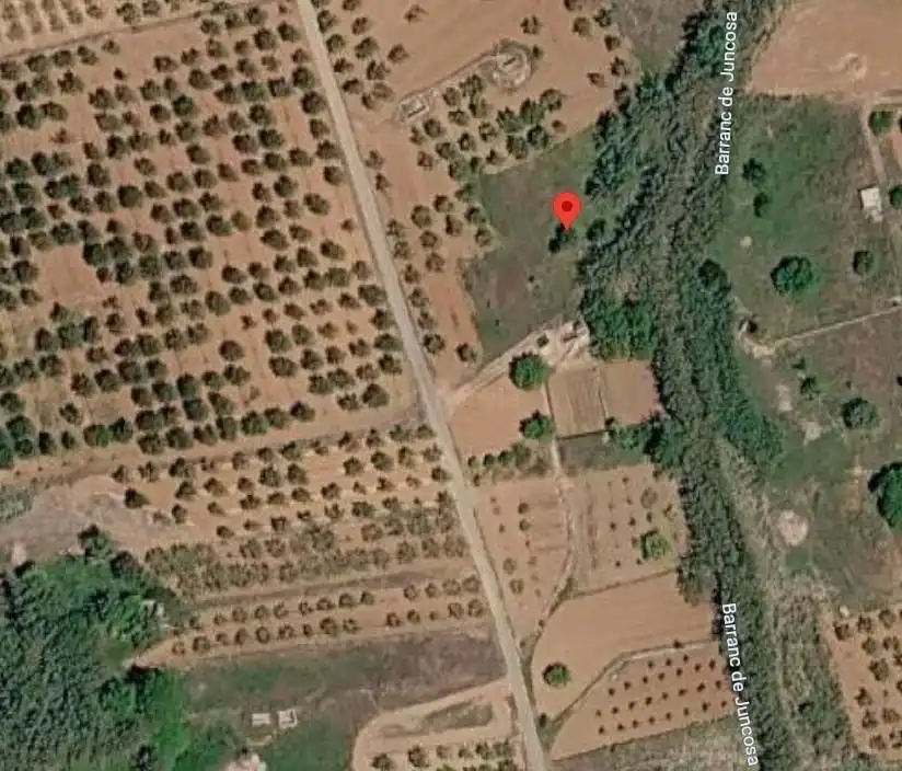 Terreno rustico in vendita a Vall d'Alba, imagen 2