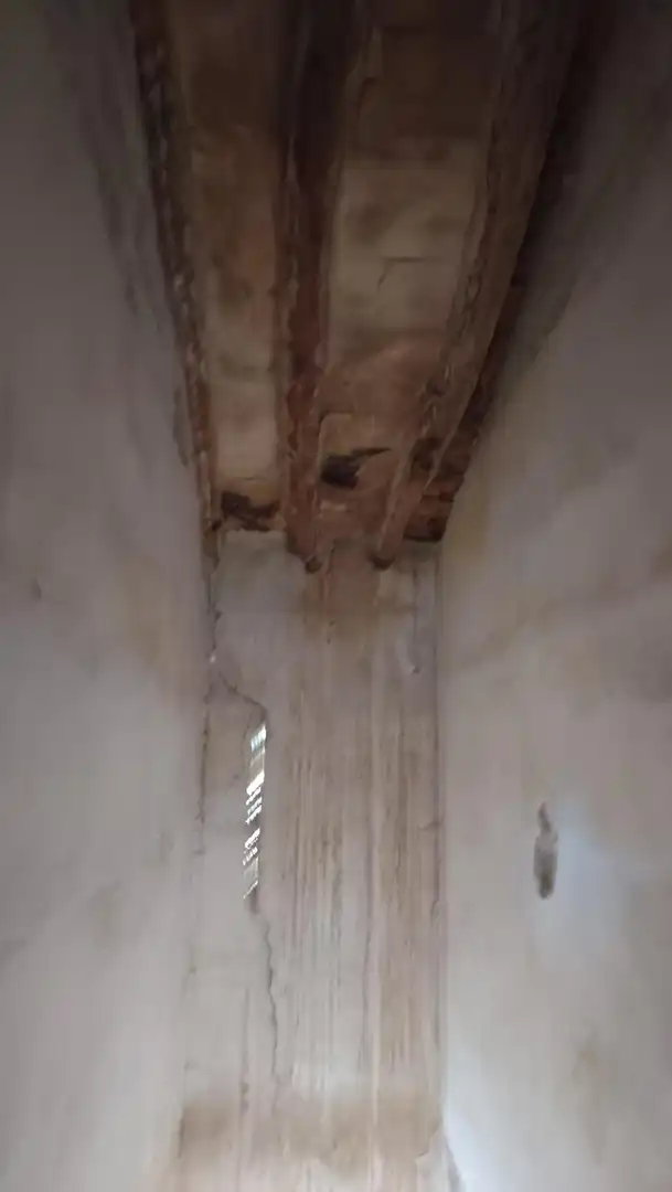 Casa o xalet en venda en Blanca amb Jardí privat