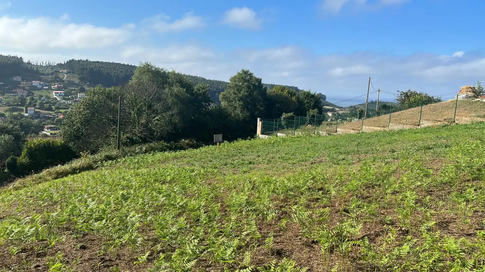 Terreno rustico in vendita a Naveces - San Adriano, imagen 5