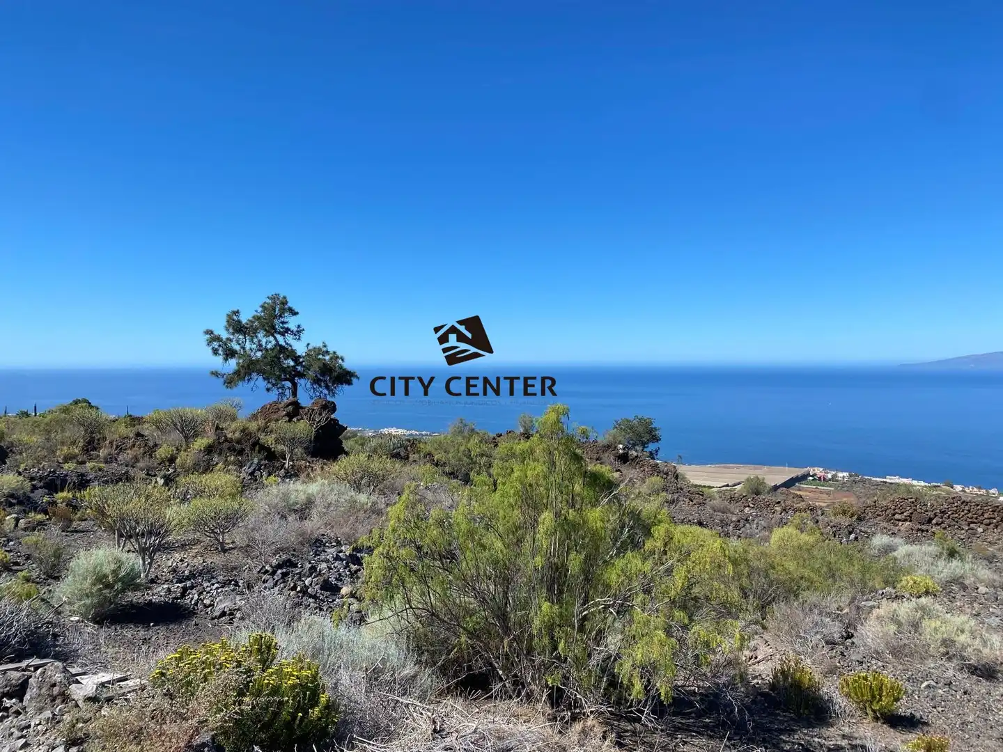 Rural land for sale in Guía de Isora interior