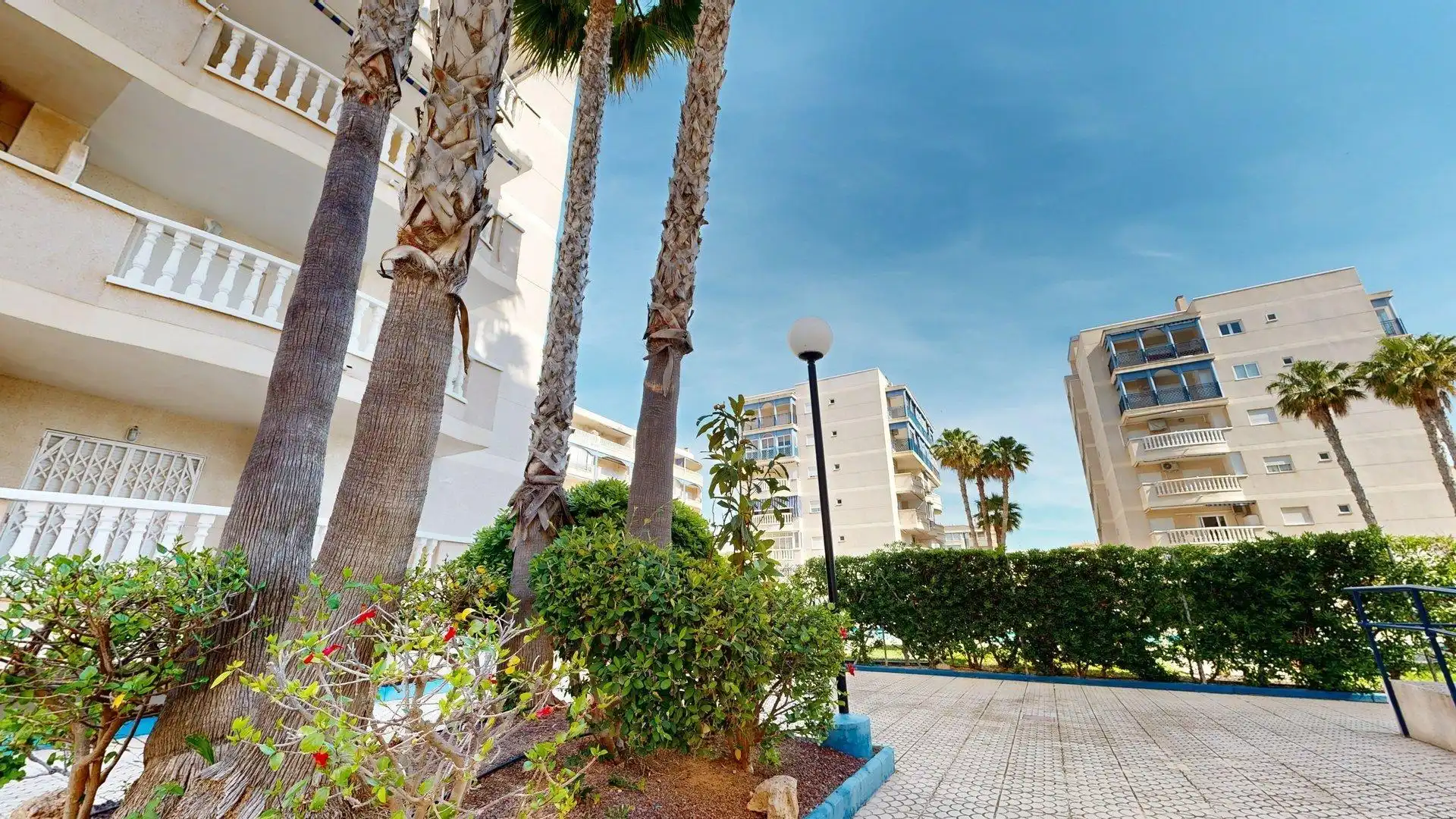 Appartement compact avec piscine à louer à Calle COSTA BLANCA 19, imagen 57