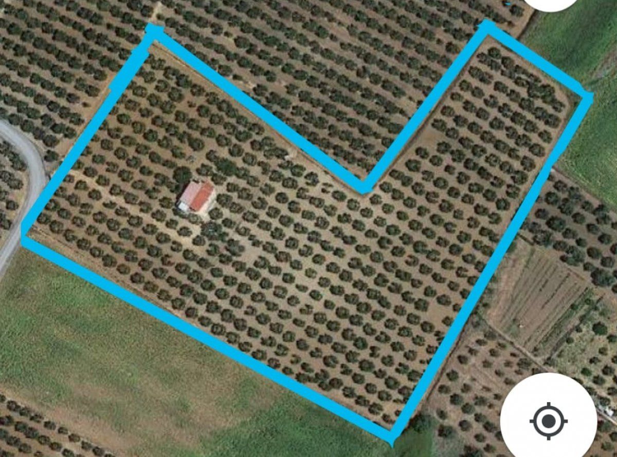 Country house for sale in Gibraleón