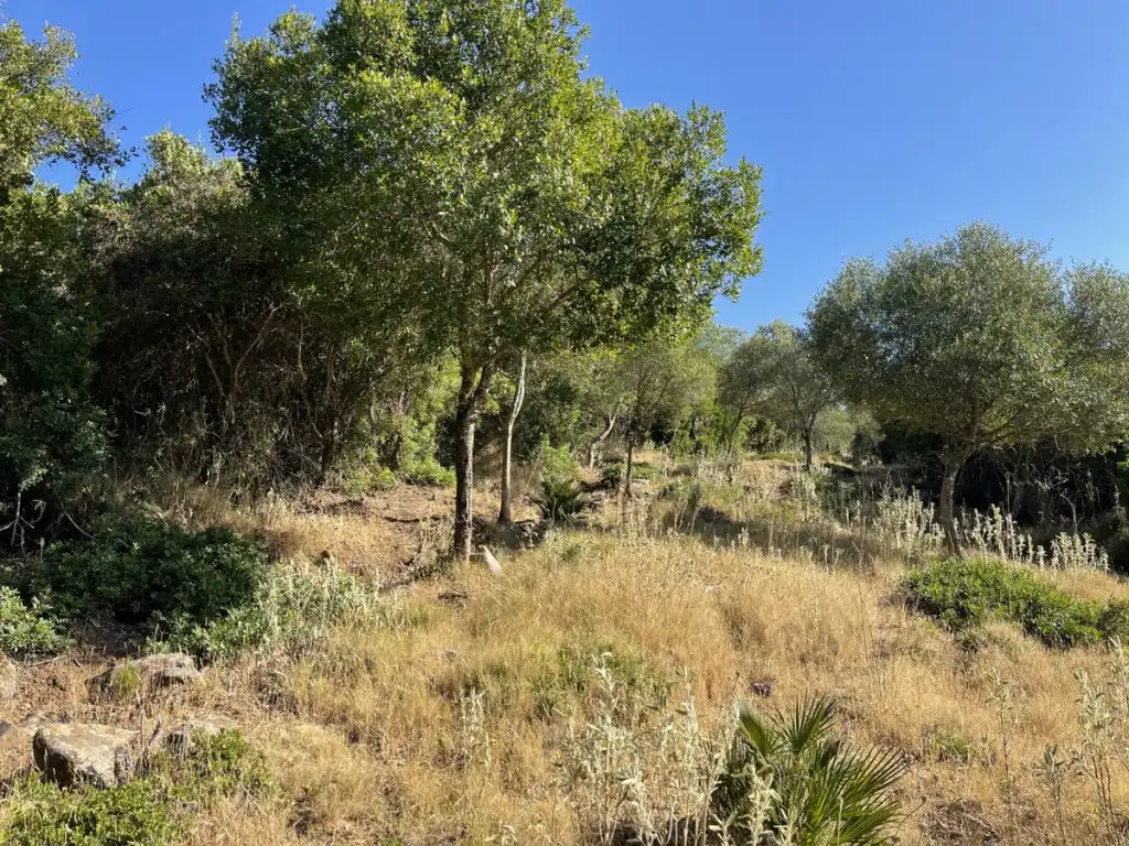 Country homes for sale in Castellar de la Frontera  with Private garden