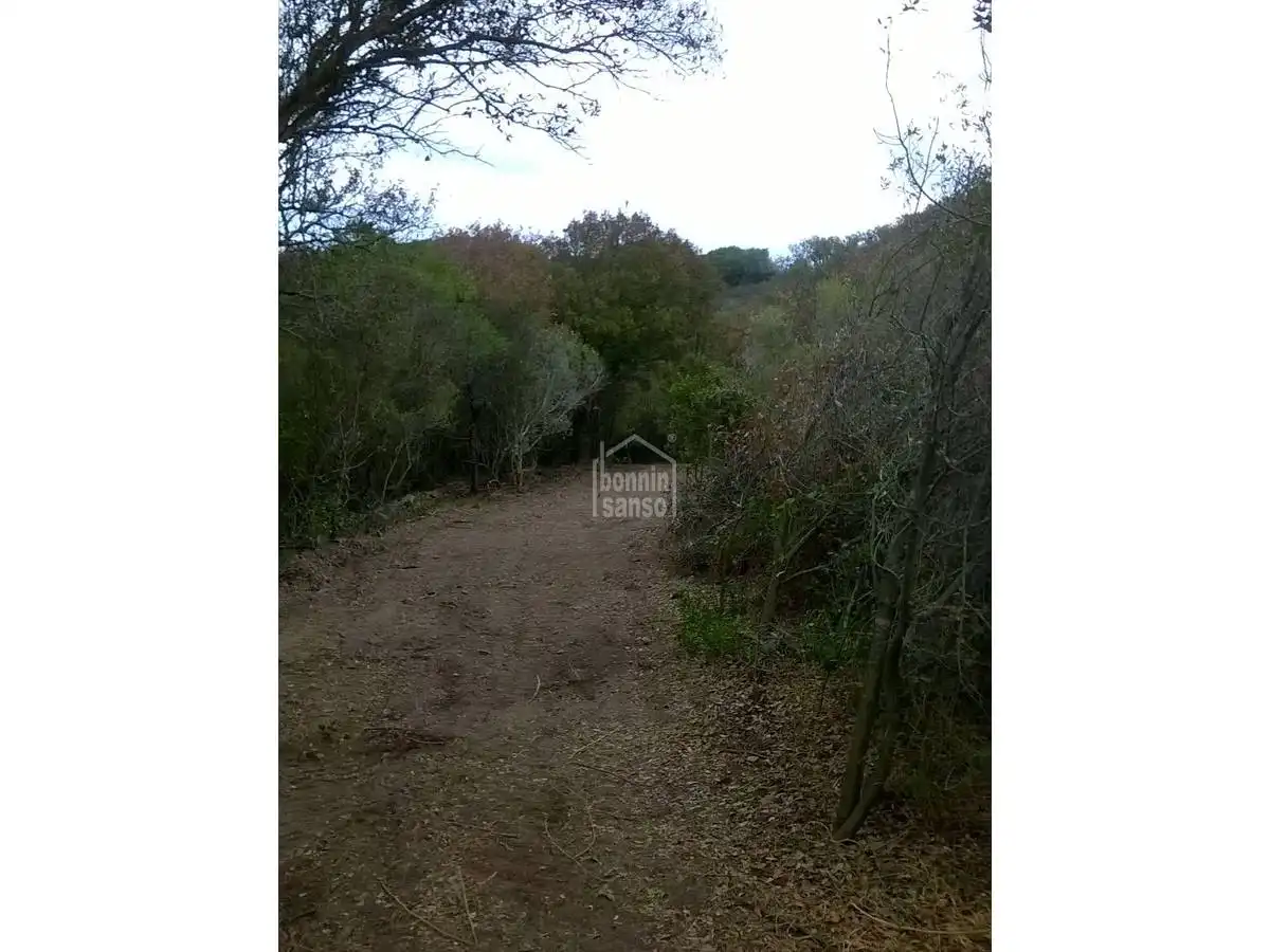Maison rustique à vendre à Maó ciutat, imagen 29