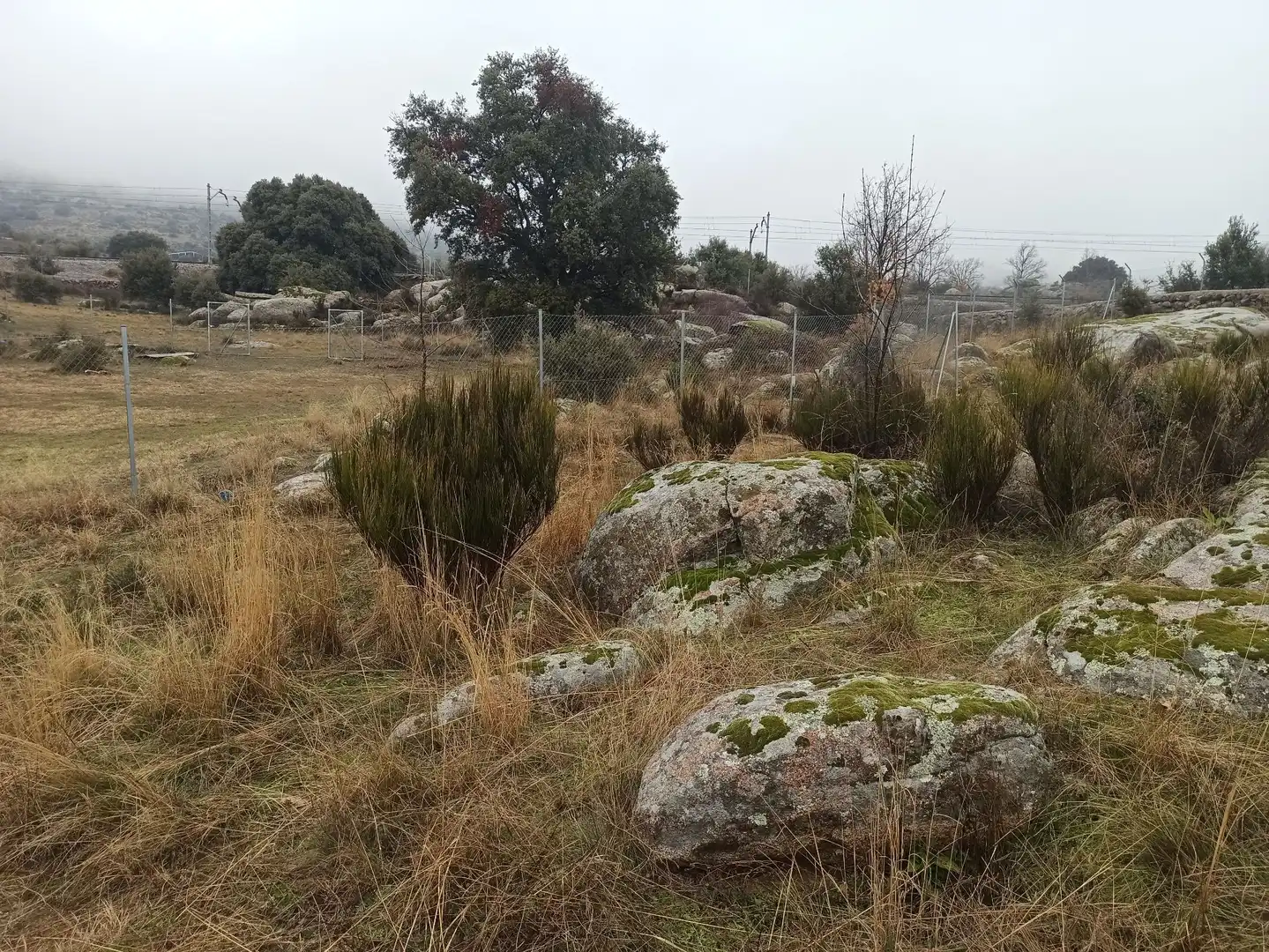 Terreno rustico in vendita a Zarzalejo, imagen 13