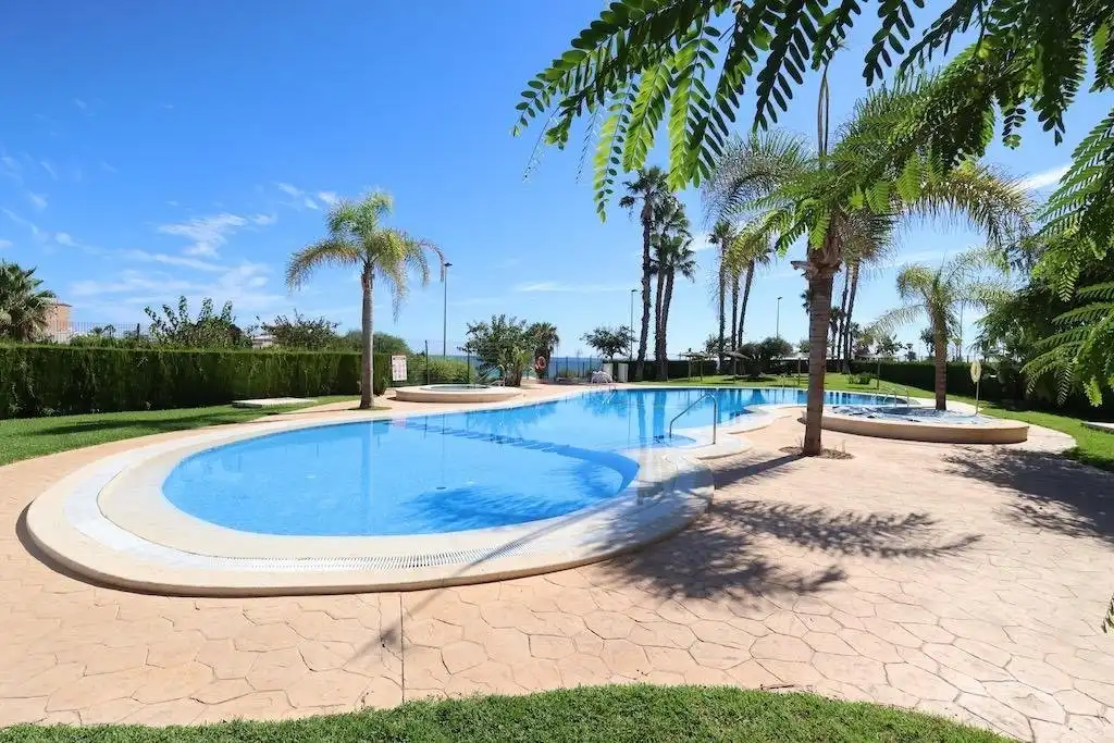 Piscina de Àtic en venda en Pilar de la Horadada amb Jardí privat, Terrassa i Balcó