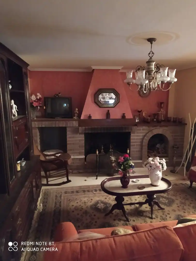 Sala d'estar de Finca rústica en venda en Barrachina amb Jardí privat i Moblat