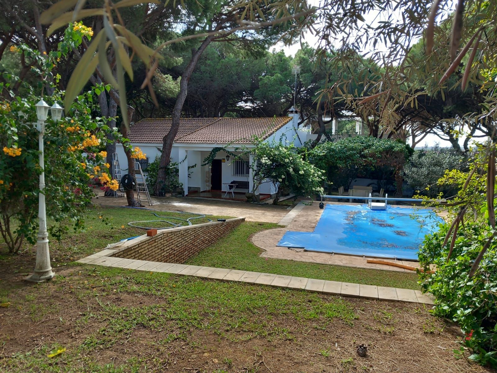 Jardí de Casa o xalet en venda en Chiclana de la Frontera amb Jardí privat, Traster i Piscina