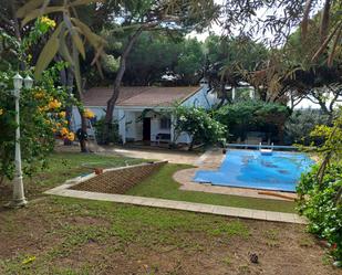 Garden of House or chalet for sale in Chiclana de la Frontera  with Private garden, Storage room and Swimming Pool