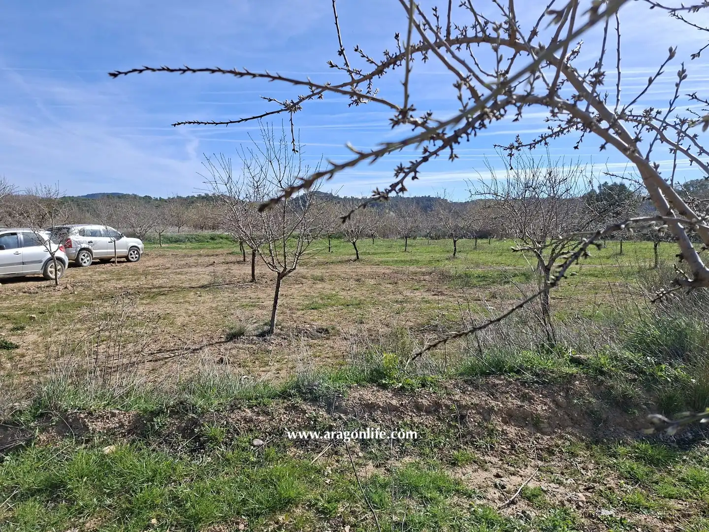 Land for sale in Fabara
