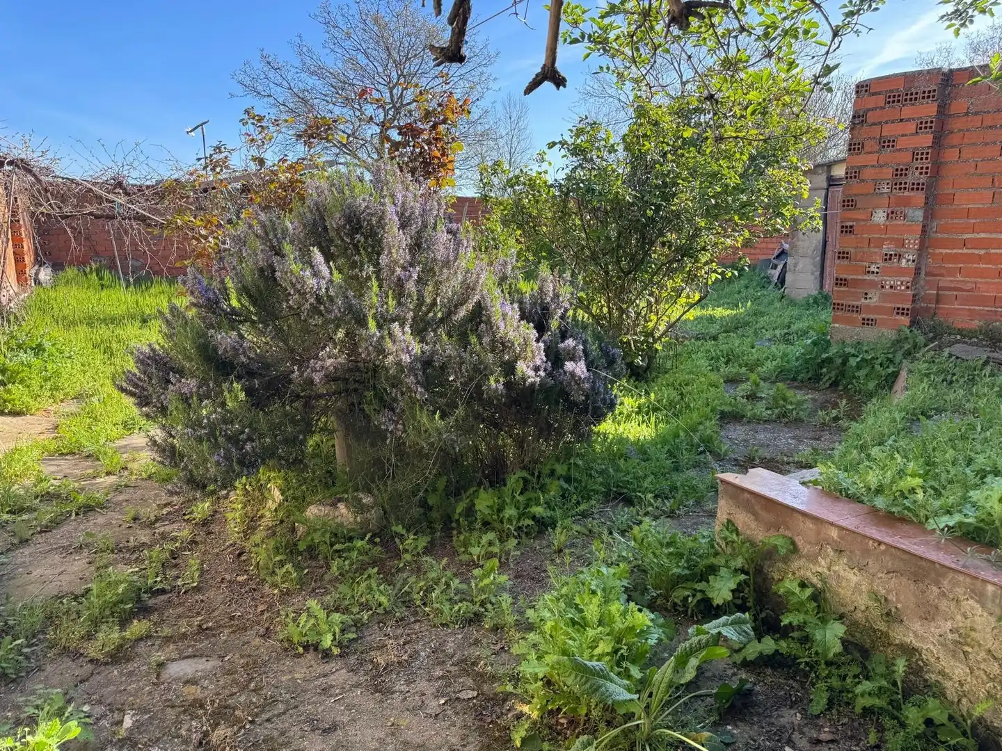 Country house zum Verkauf in Montamarta