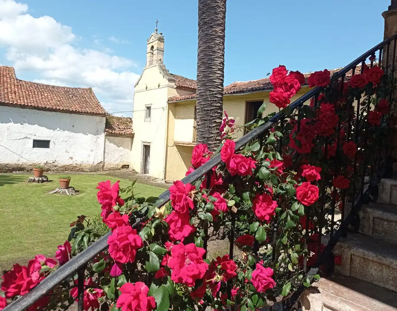 Jardí de Edifici en venda en Carreño