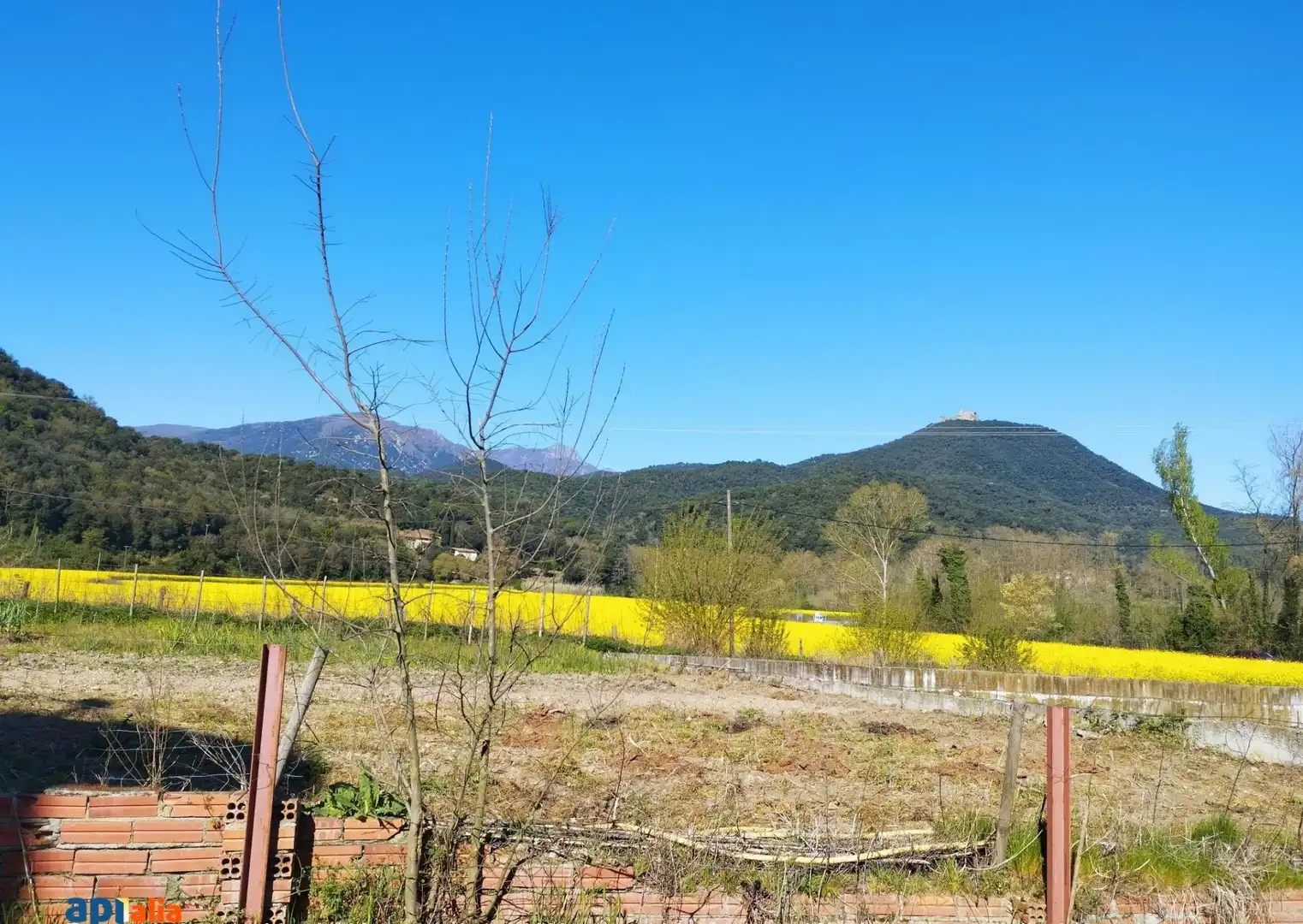Finca rústica en venta en Massanes