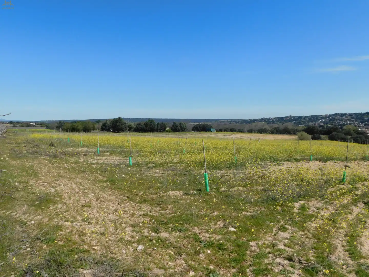 Terreno en venta en Villa del Prado