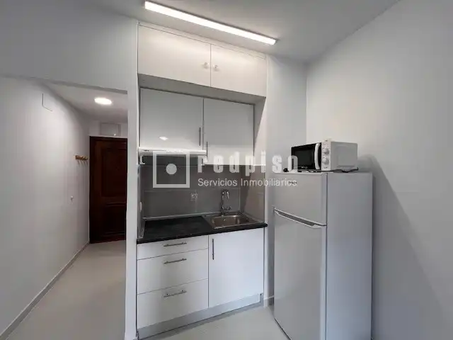 Studio avec jardin à louer à de Orense, imagen 5
