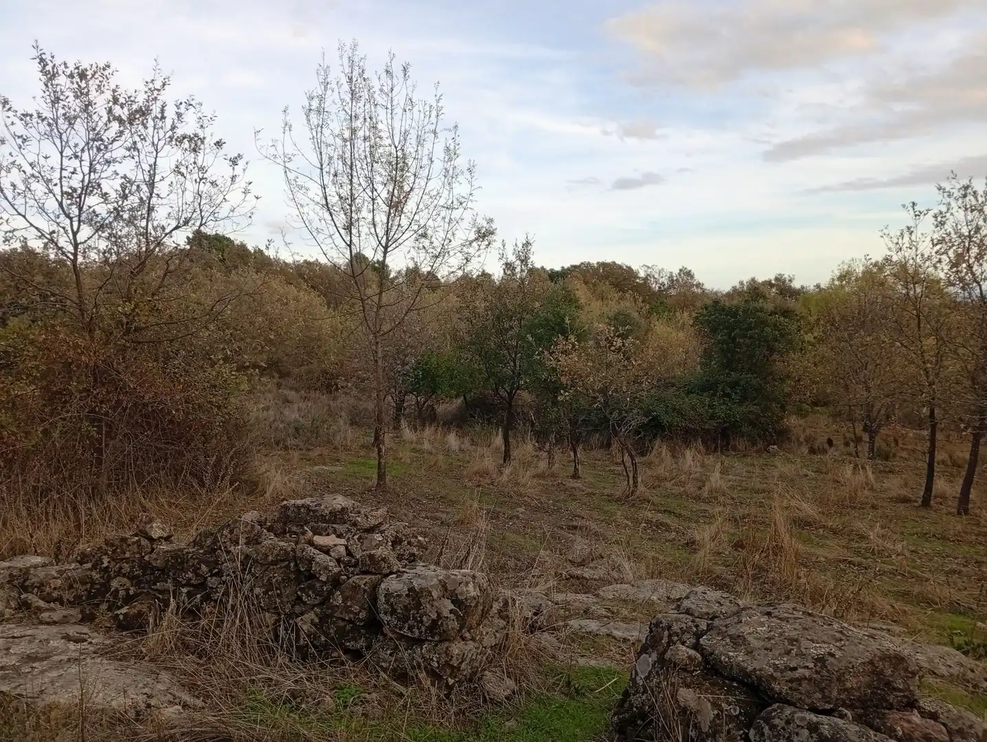 Terreni e lotti in vendita a Villanueva de la Vera, imagen 67