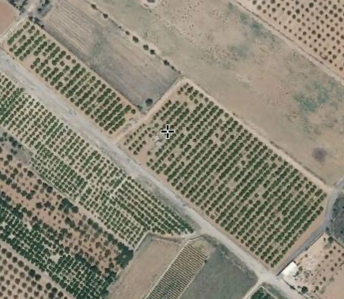Rural land for sale in Torreblanca