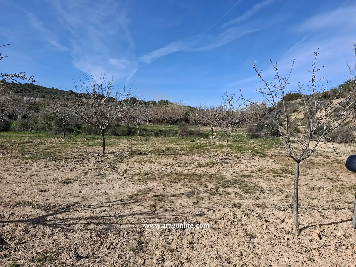 Land for sale in Fabara