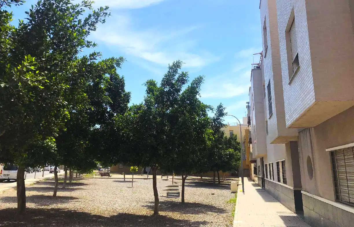Piso en venta en Petanca, imagen 5