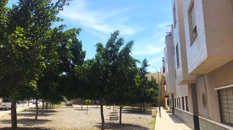 Foto 5 de Pis en venda a Petanca , Santa María del Águila, El Ejido