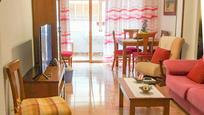 Living room of Flat for sale in Santa Pola  with Air Conditioner, Terrace and Furnished