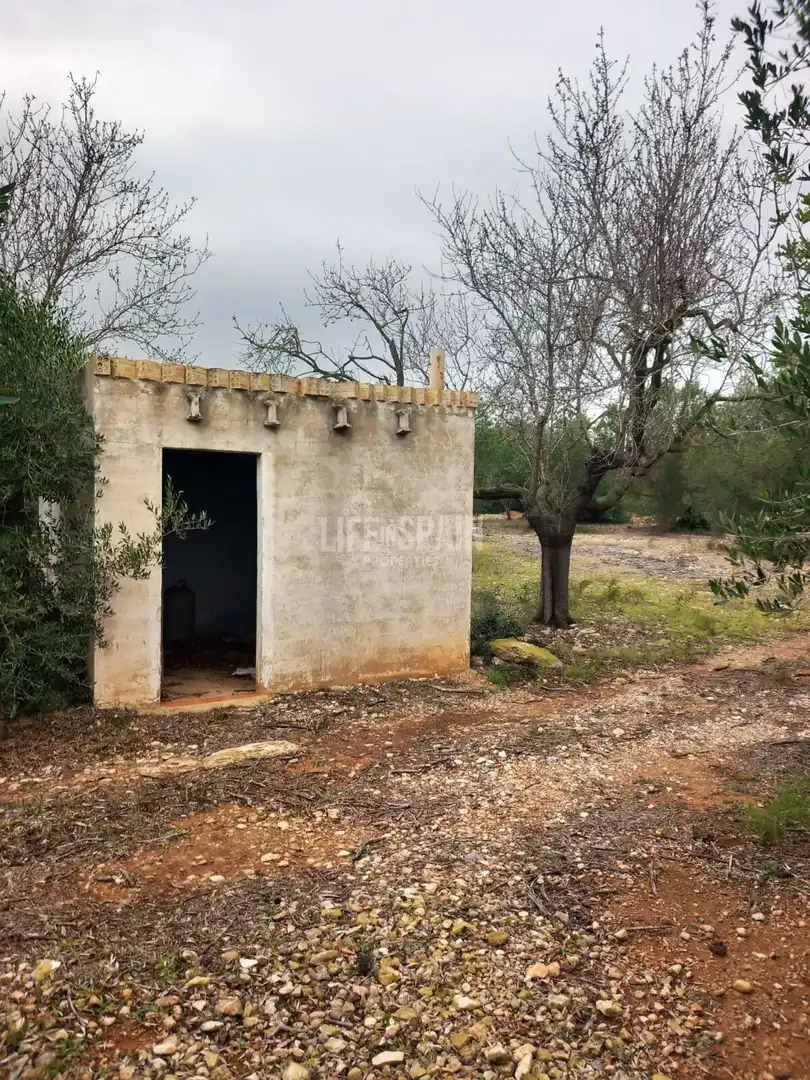 Terreno rústico en venta en Grau - Quintanes