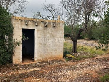Terrain rustique à vendre à Grau - Quintanes