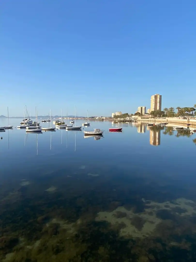 Apartment with terrace for sale in Lo Pagán, imagen 23