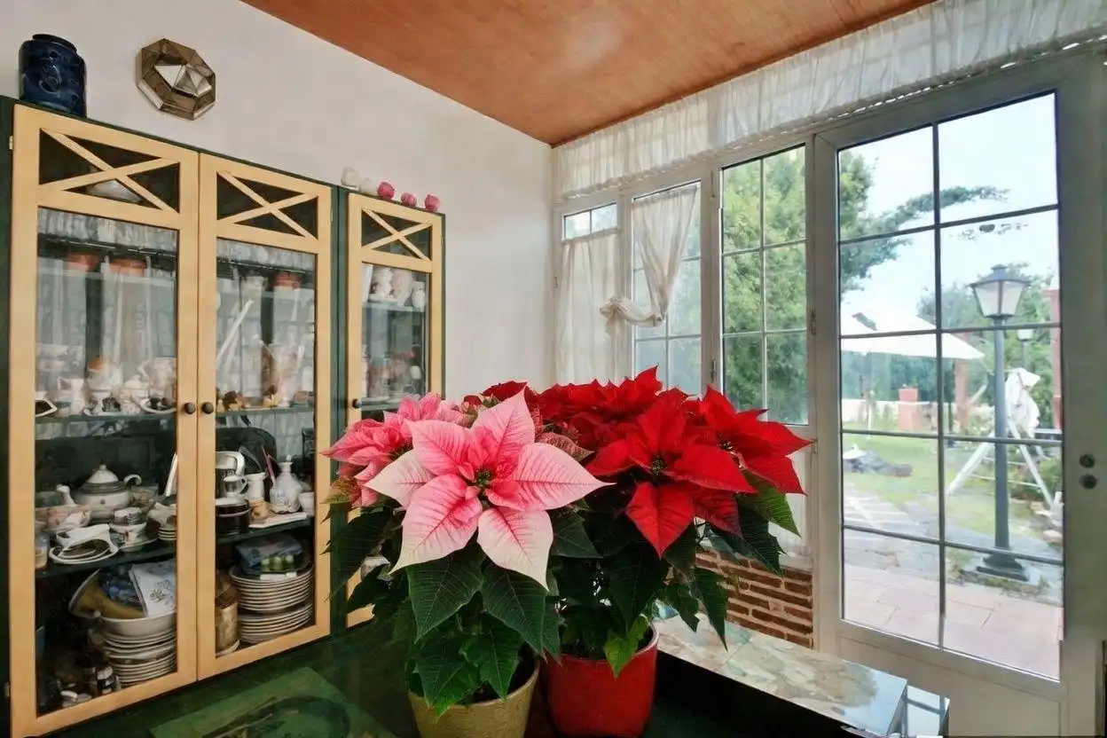Chalet con piscina en venta en Retamar, imagen 16