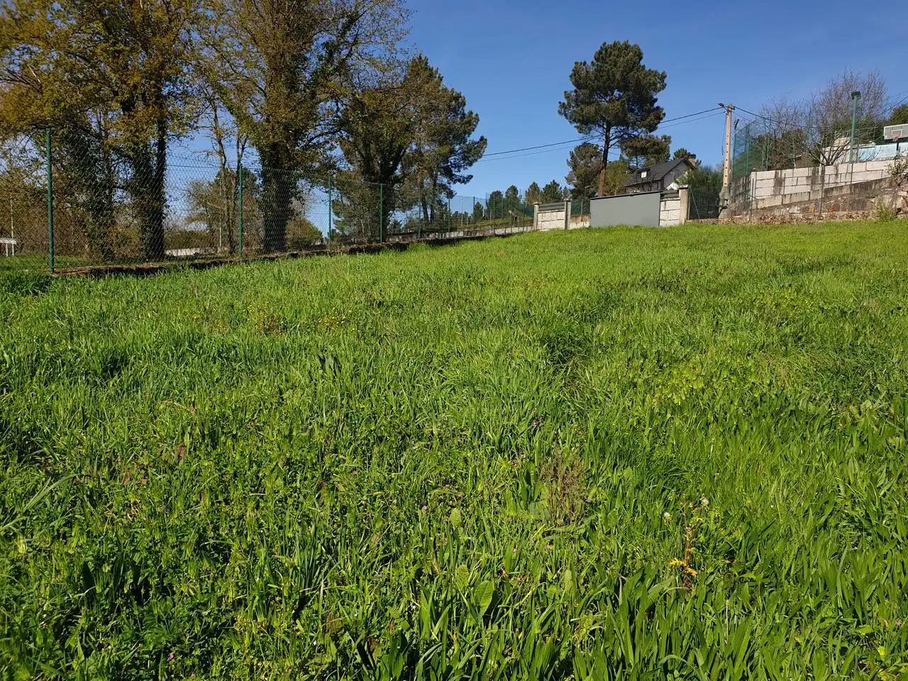 Terreni e lotti in vendita a Pereiro de aguiar, imagen 6