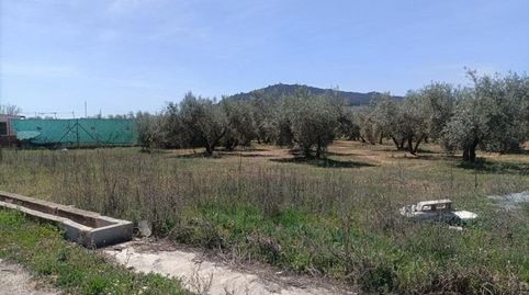 Finca Rústica, imatge 5