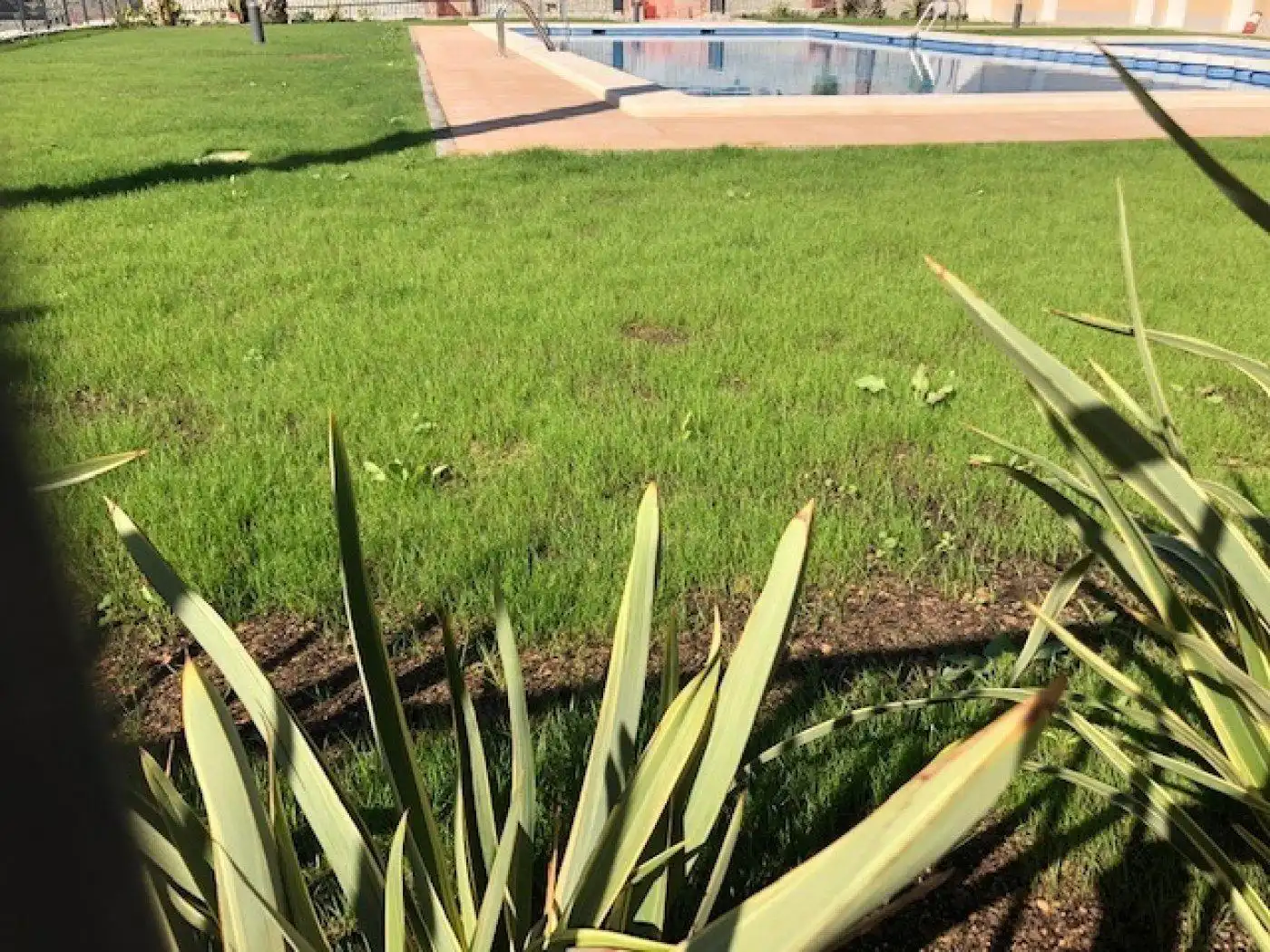 Pis amb piscina en venda a Elche ciudad, imagen 19