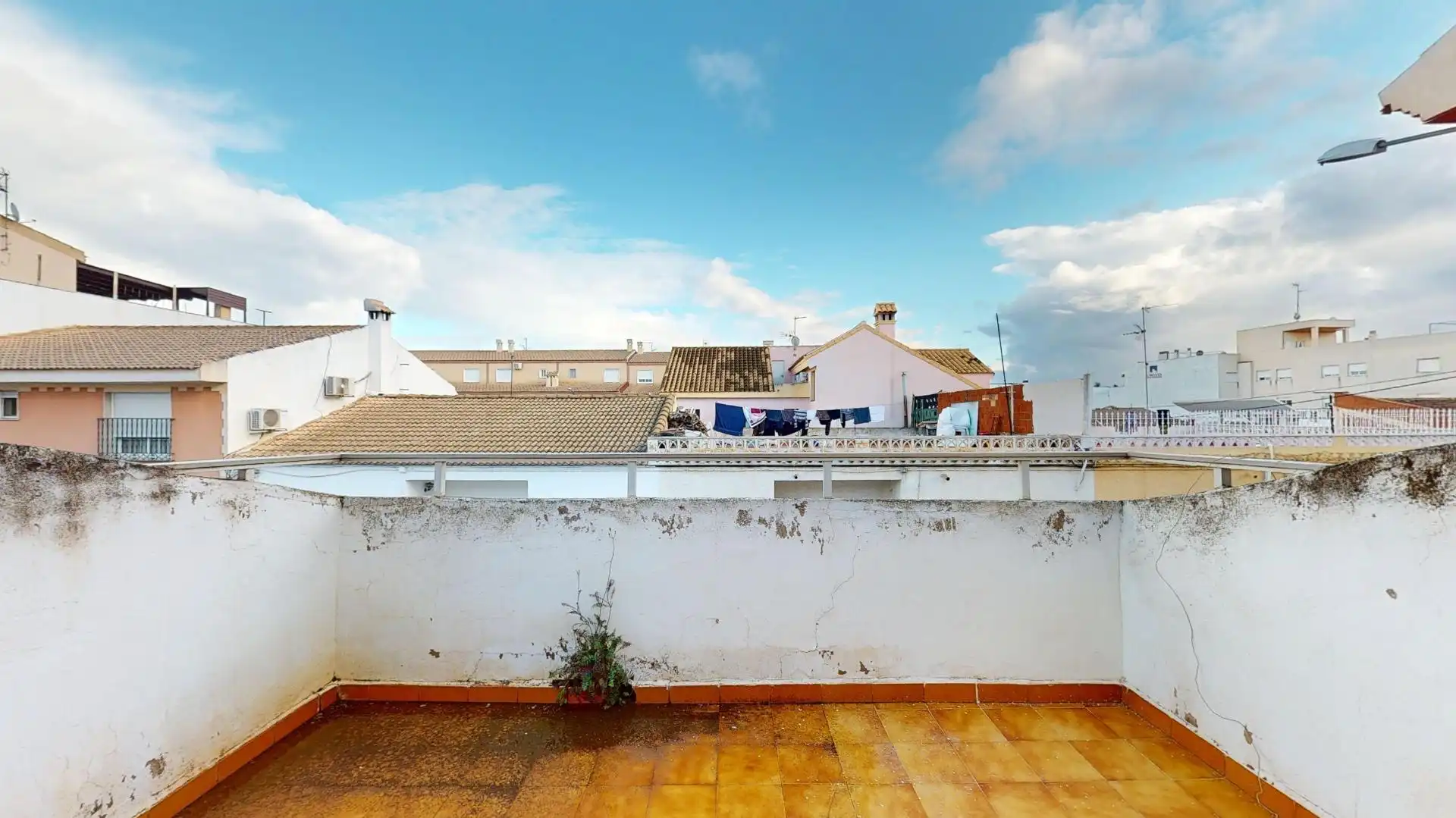 Vista exterior de Casa o xalet en venda en Pilar de la Horadada amb Jardí privat