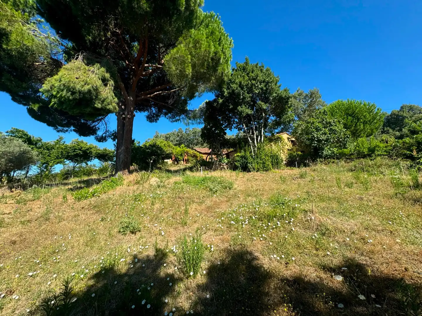 Terreni e lotti in vendita a Candeleda, imagen 6