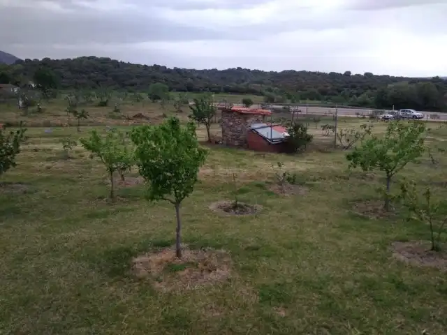 Terreni e lotti in vendita a Calle Candeleda 5