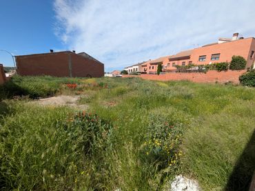 Terreno residencial en venta en Plaza Mayor 1