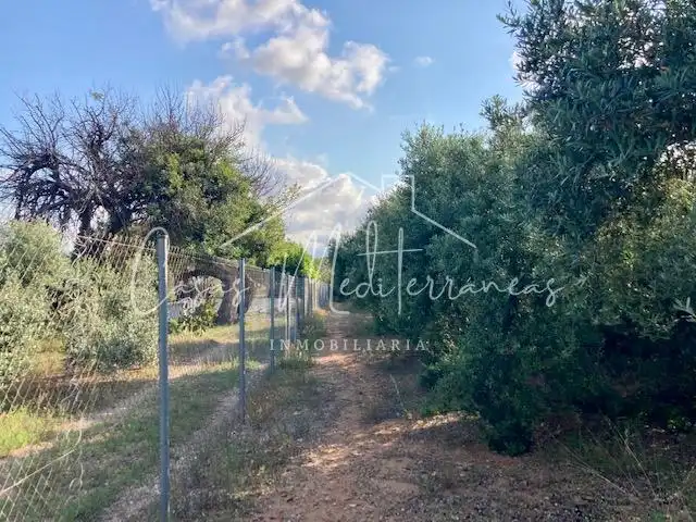 Country house for sale in Riudoms, imagen 2