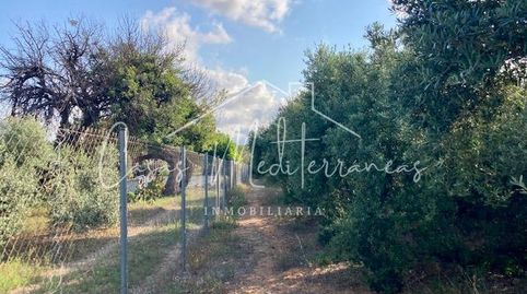 Foto 2 de Finca rústica en venta en Riudoms, Tarragona