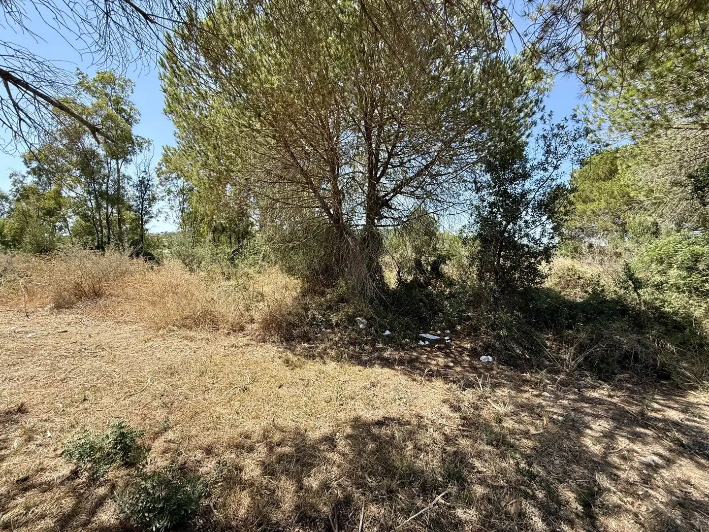 Terrenys i solars en venda a Sotogrande Alto, imagen 11